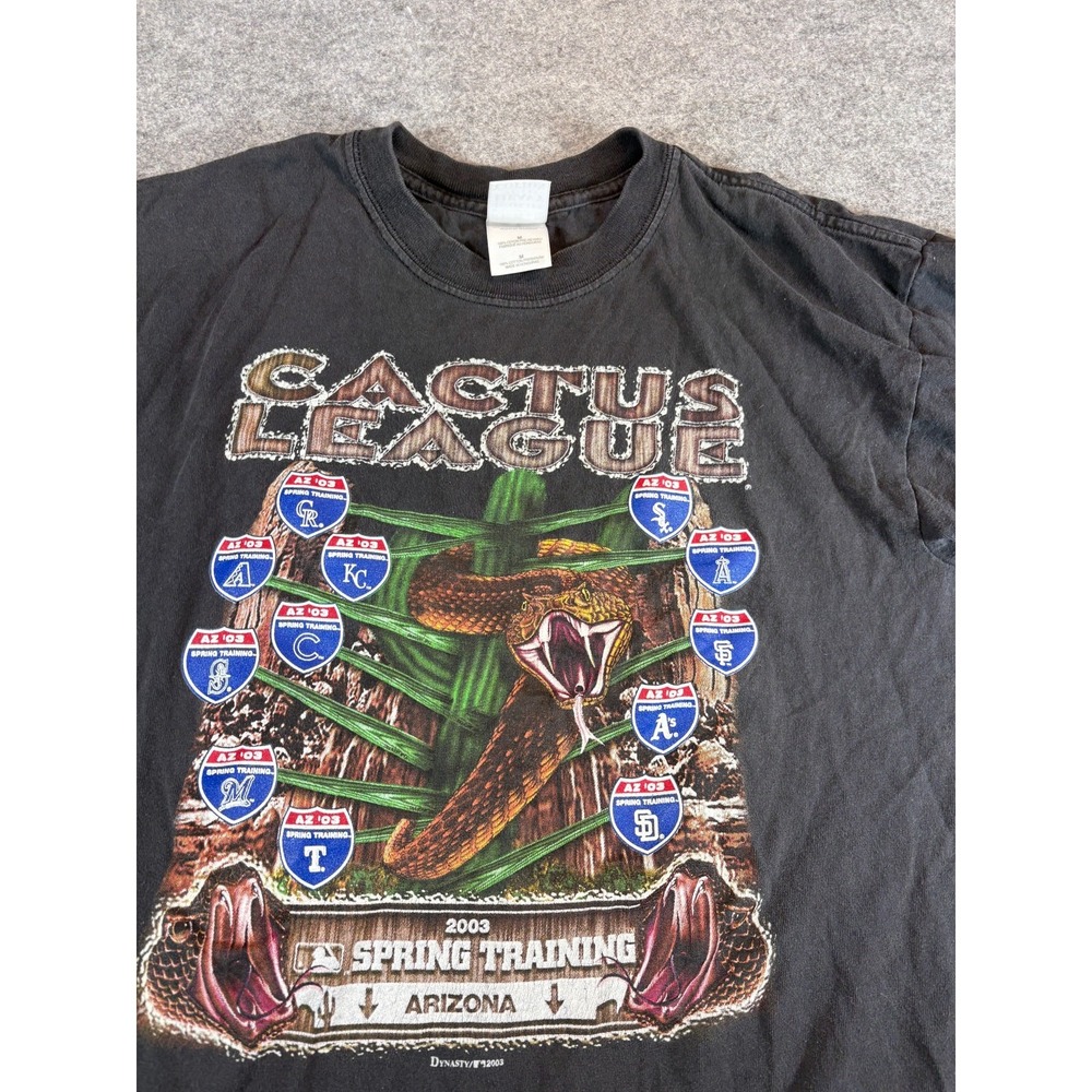 Vintage Arizona Diamondbacks Cactus League Spring Training Shirt Mens M Baseball